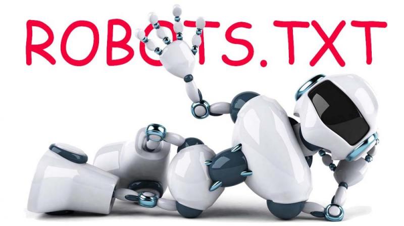 Что такое robots.txt и зачем он нужен в Краснодаре